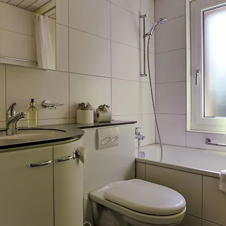Wyssefluh By Interhome Apartment
