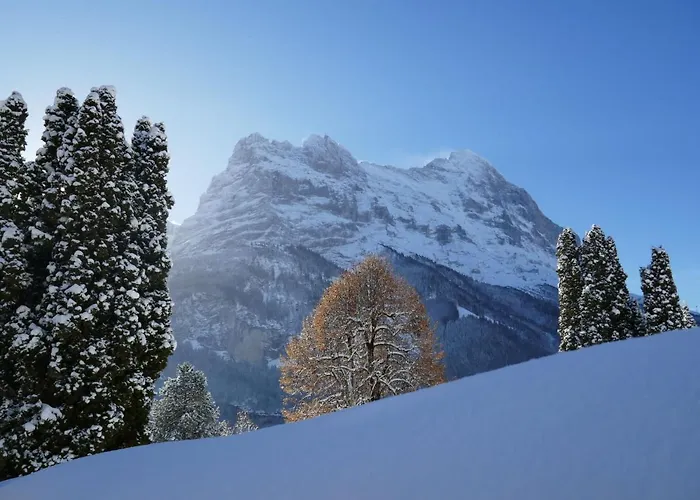 Apartman Wyssefluh By Interhome