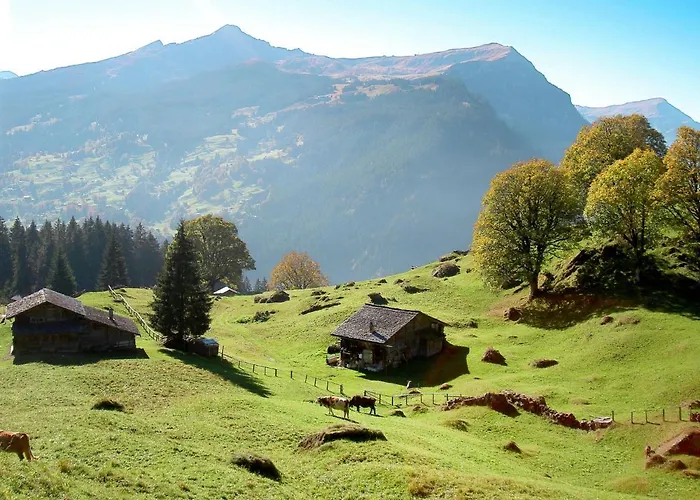 Wyssefluh By Interhome * Grindelwald