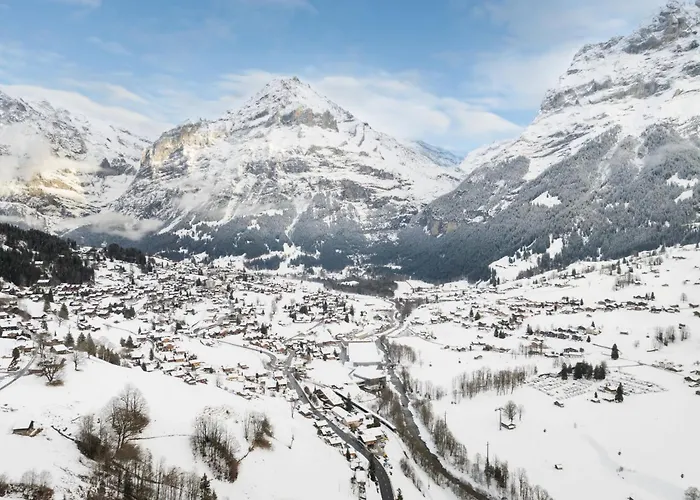Wyssefluh By Interhome Apartman Grindelwald