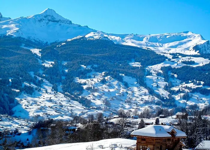 Wyssefluh By Interhome * Grindelwald