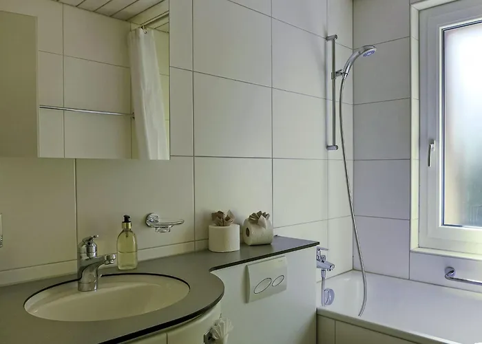 Wyssefluh By Interhome